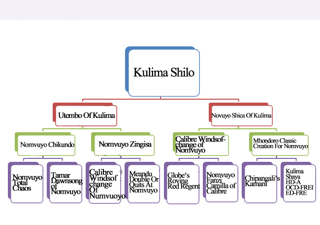kulima-pedigree-SHILO
